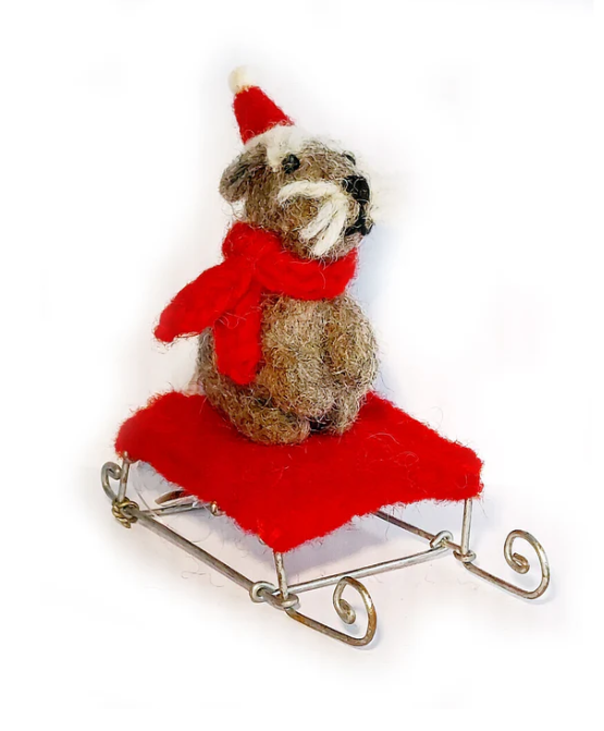 Schnauzer Sitting on Sledge