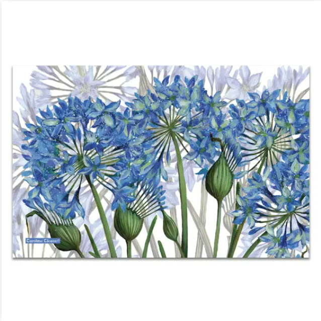 Agapanthus II Tea Towel