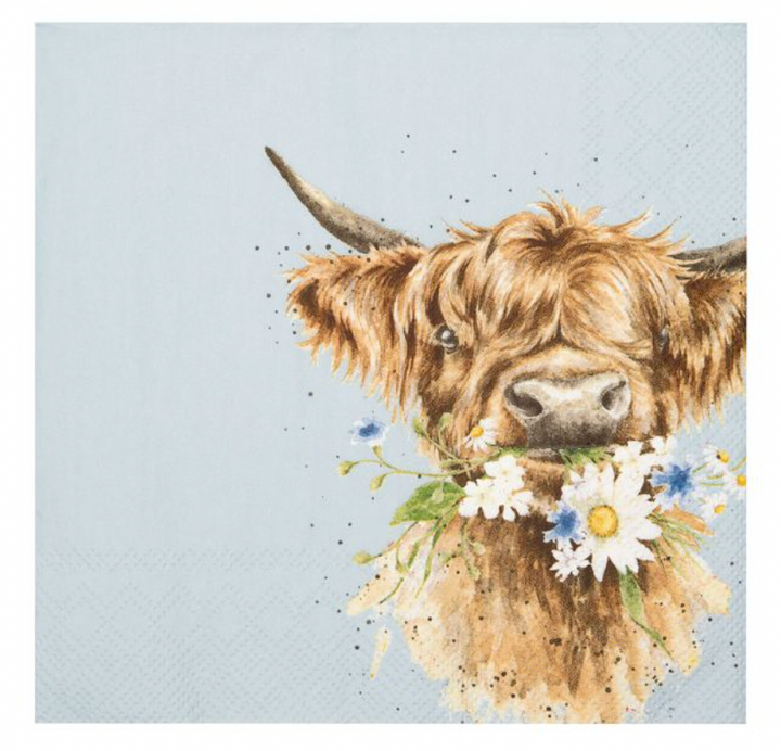 'Daisy Coo' Highland Cow Paper Napkins