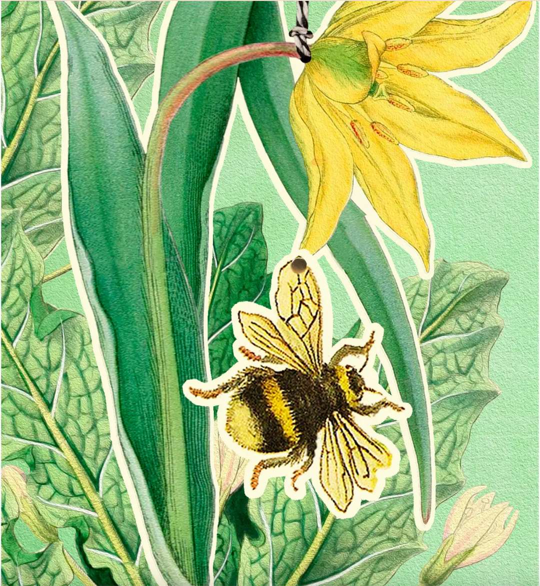 Bee Fandangle Greetings Card