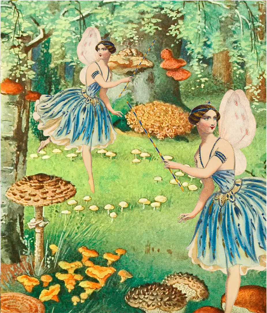 Fairy Ring Greetings Card