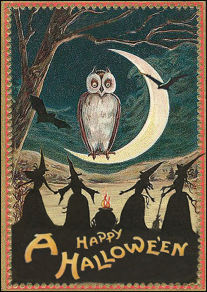 Halloween Owl Greetings Card