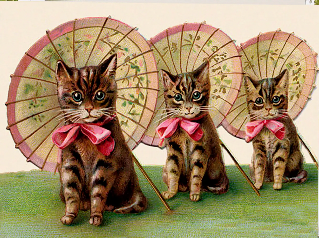 Three Kittens Little Vintage Greeting Card