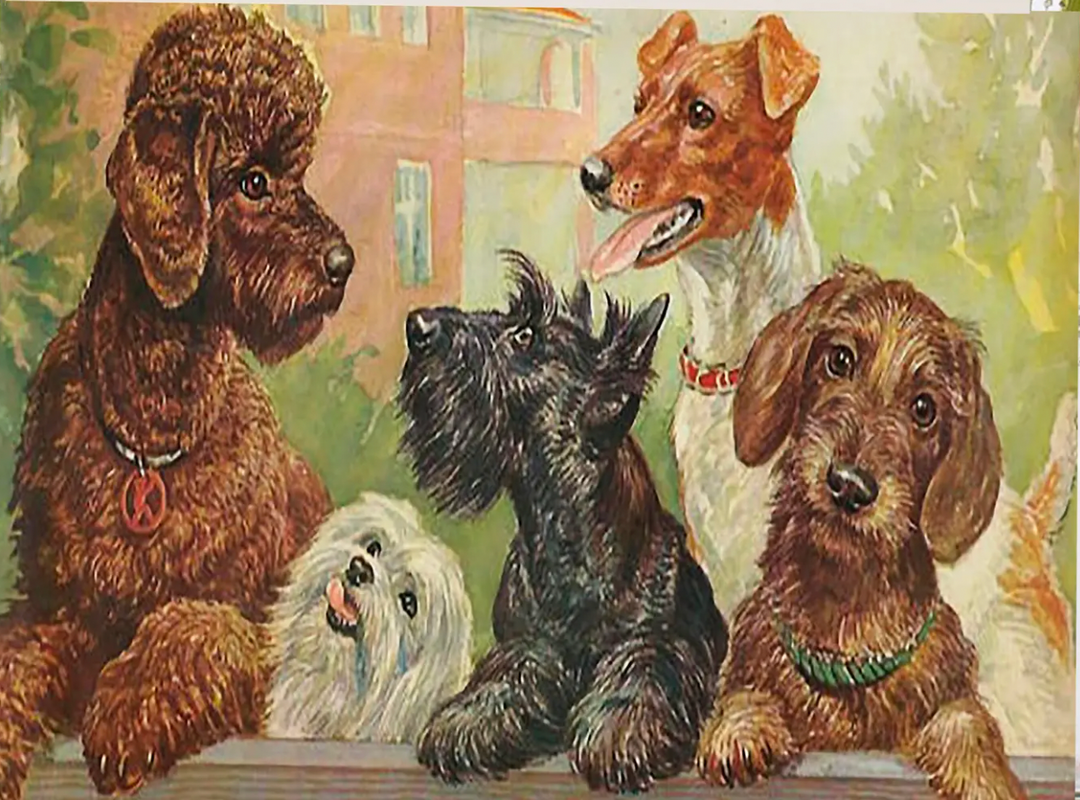 Looking Over the Fence Dogs Little Vintage Greeting Card