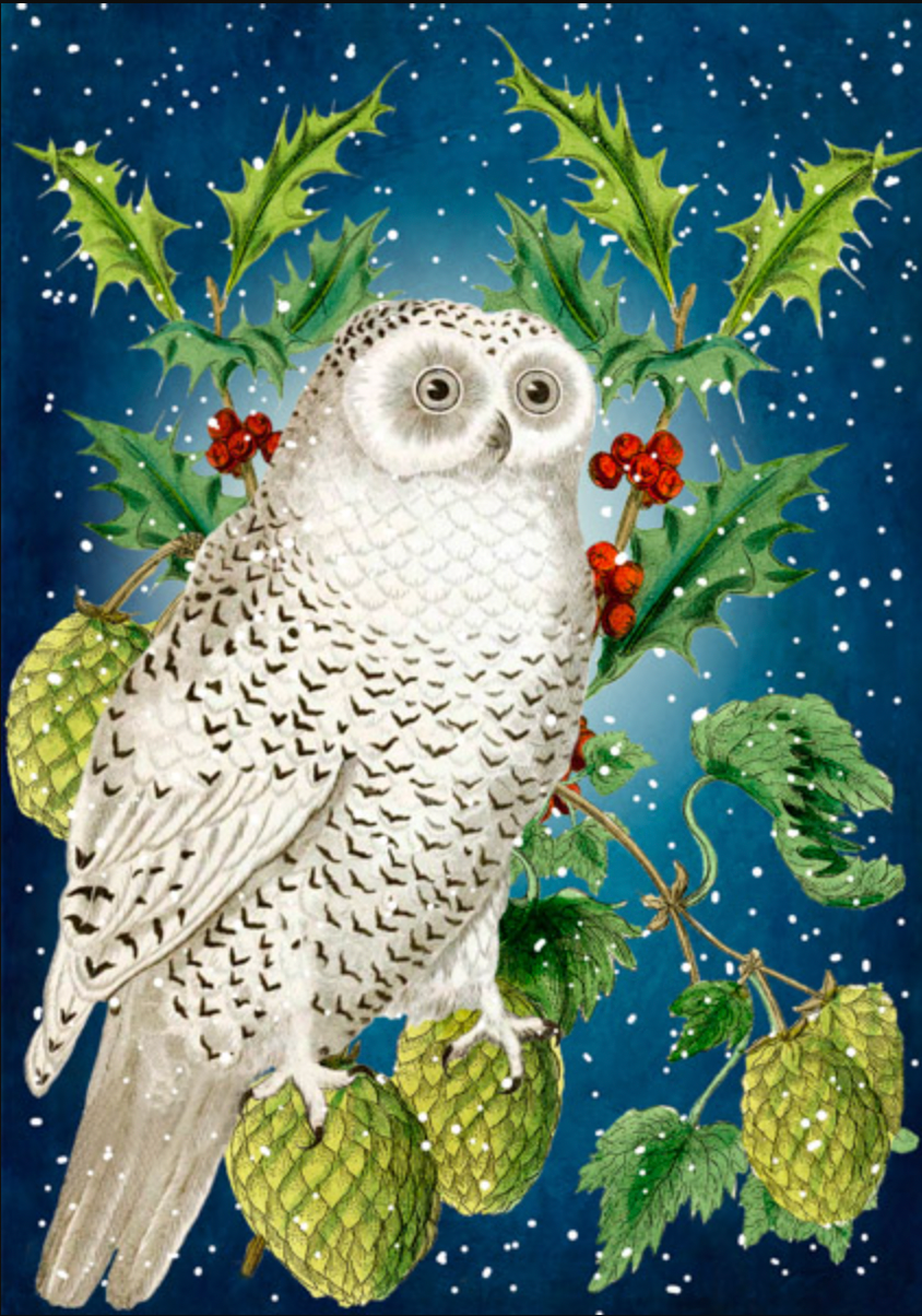 Snow Owl Christmas Greetings Card