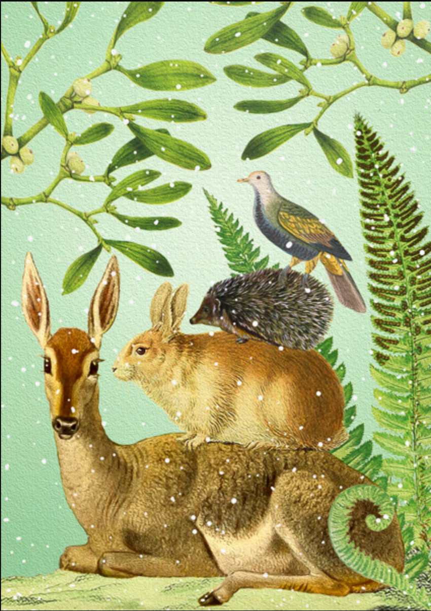 Under the Mistletoe Christmas Greetings Card