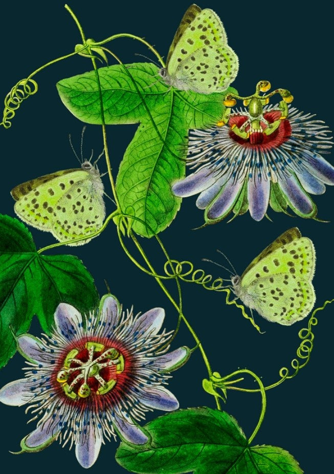 Midnight Passion Flower Card