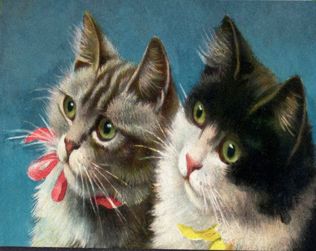 Is that a Fish? - Little Vintage Greeting Card