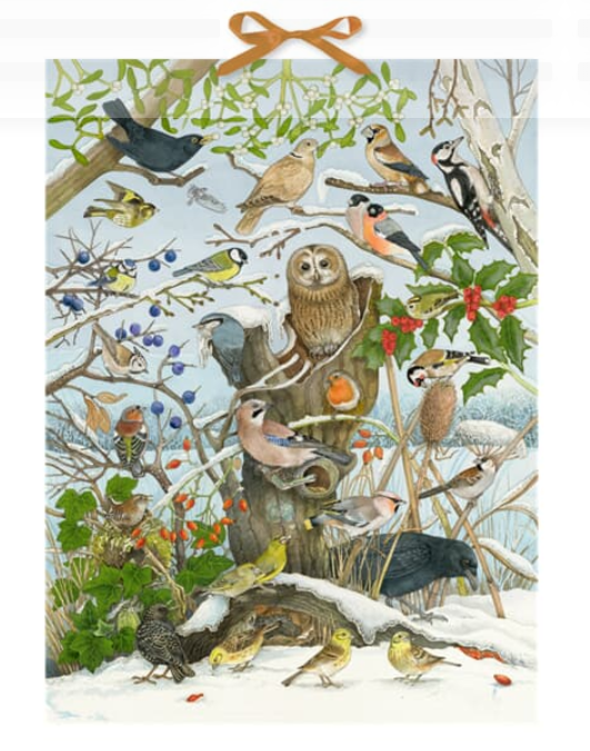 Birds in Winter Birdsong Advent Calendar