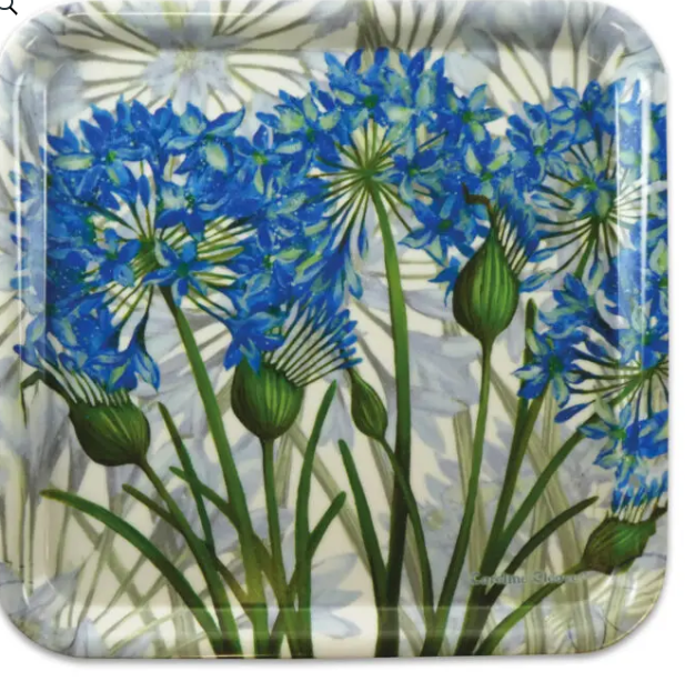 Caroline Cleave Agapanthus Melamine Square Tray