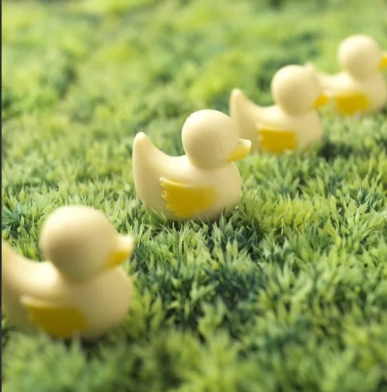 Chocolate Ducks