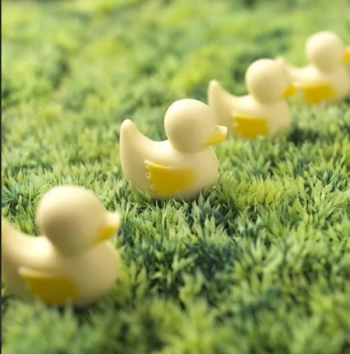 Chocolate Ducks
