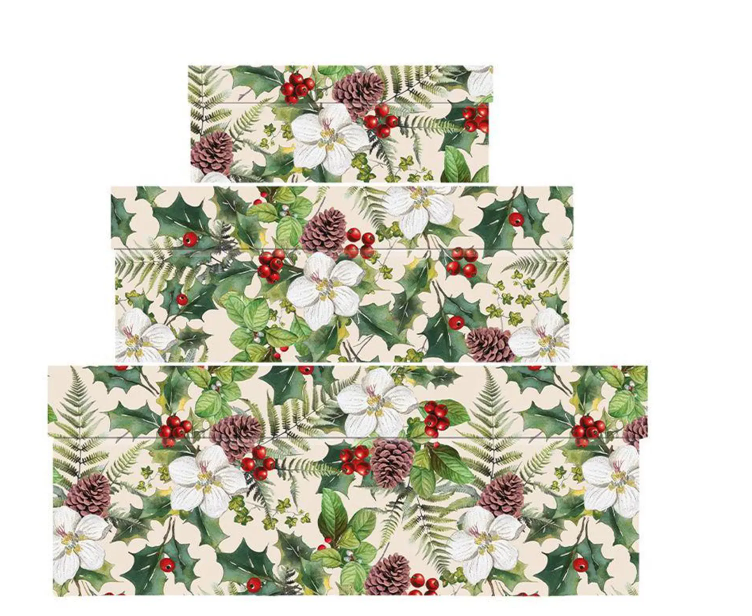 The Botanist Collection Evergreen Nest of 3 Boxes