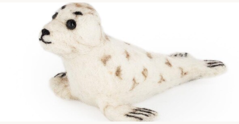 Sandy Seal
