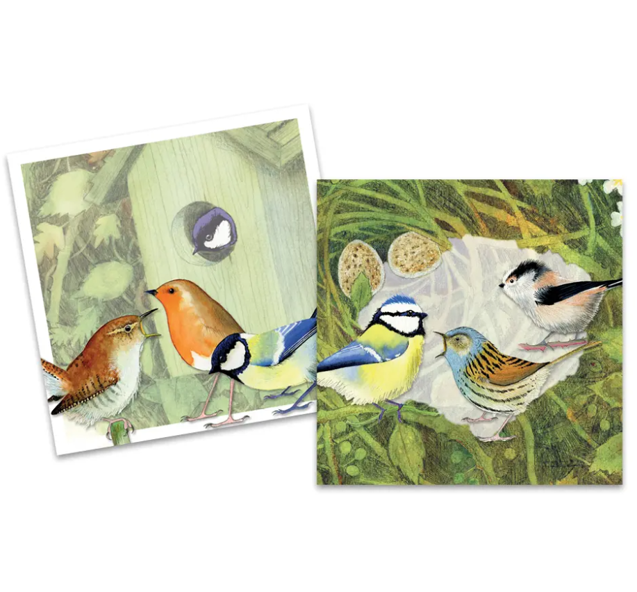 British Birds pack of 10 Mini Notecards