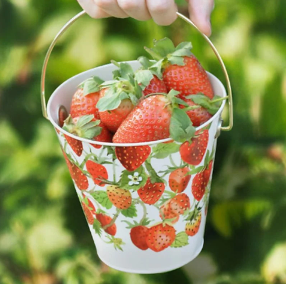 Strawberry Tin Treat Bucket