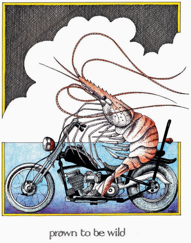 Prawn to be Wild Card by Simon Drew