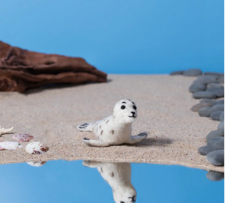 Sandy Seal