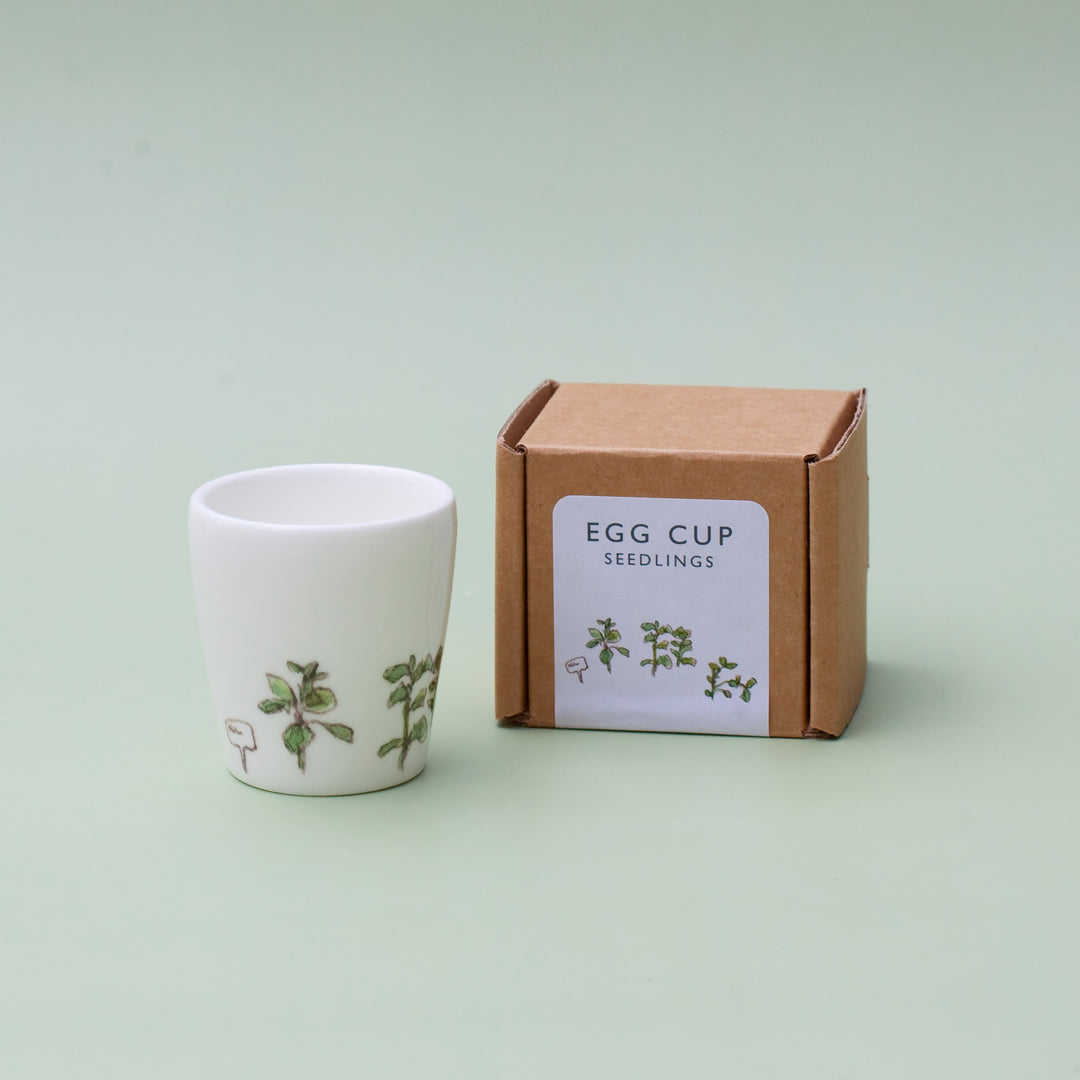Seedlings Egg Cup