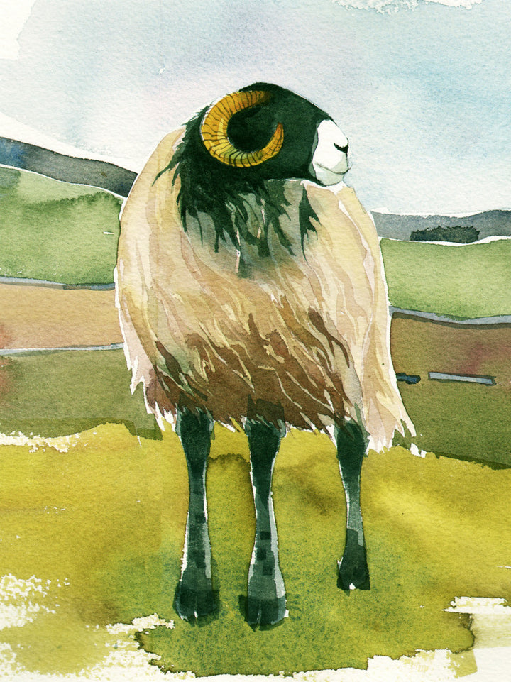 Sheep Journal by Mary Ann Rogers