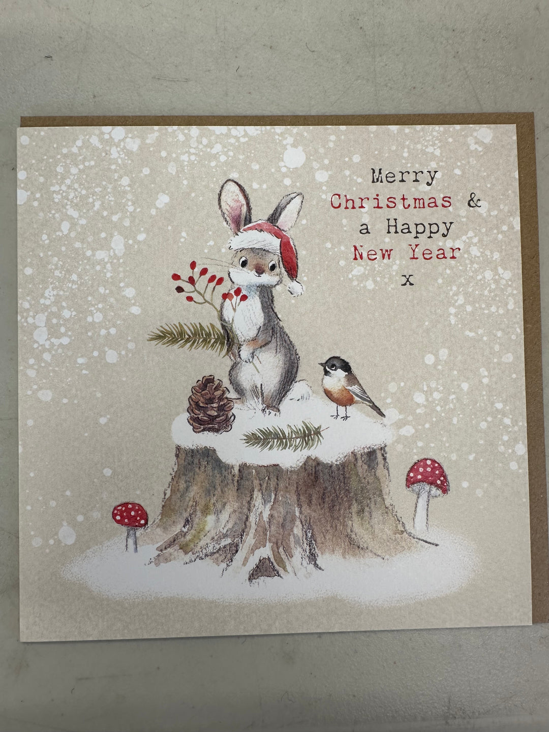 Rabbit and Bird Christmas Card