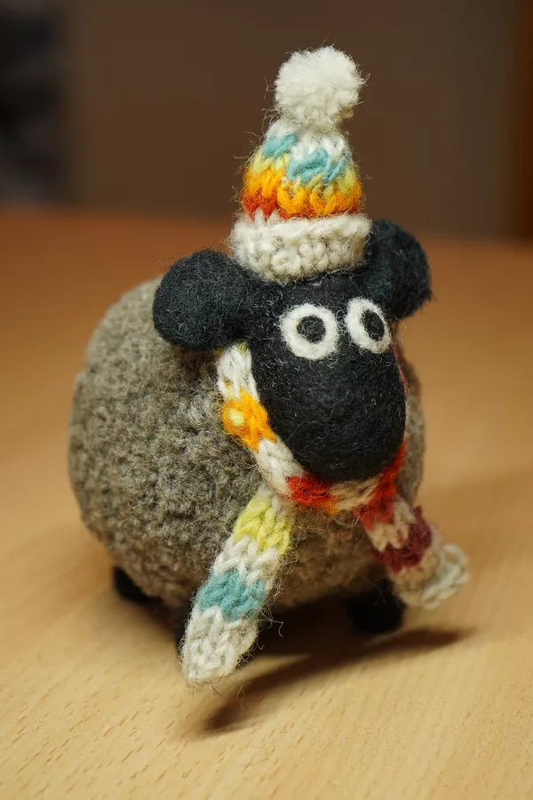 Stuart the Lakeland Sheep