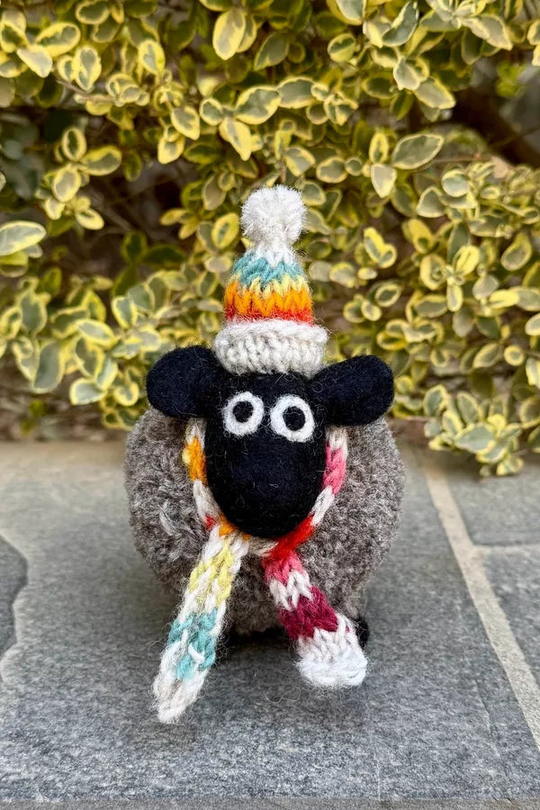 Stuart the Lakeland Sheep