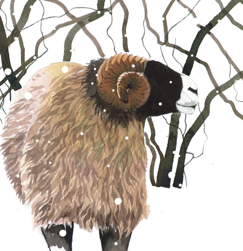 Swale Ram Greetings Card