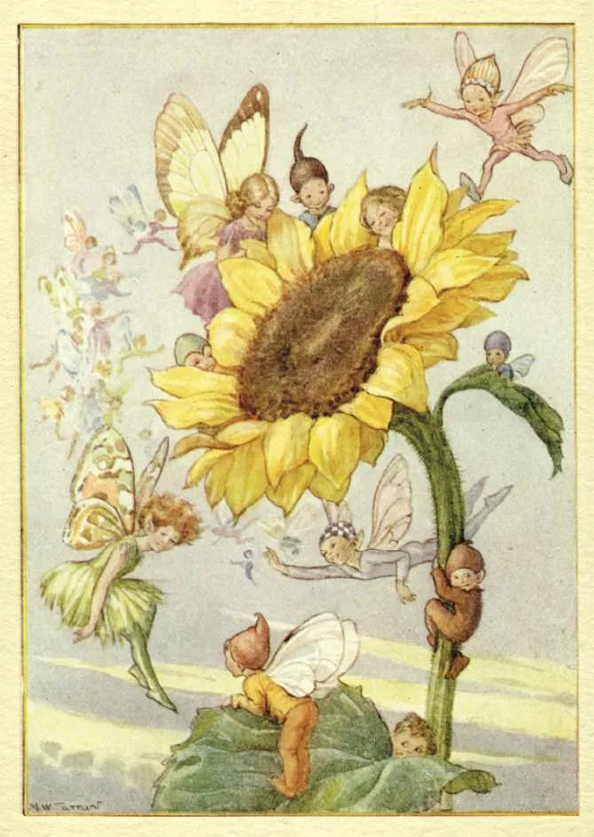 Sunflower Fairies Greeting Card