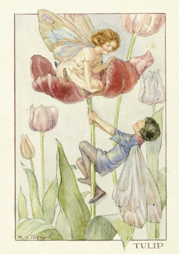 Tulip Fairy Greeting Card
