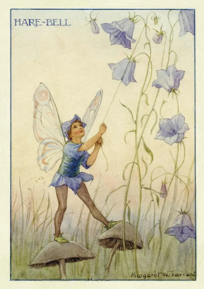 Harebell Fairy Greeting Card