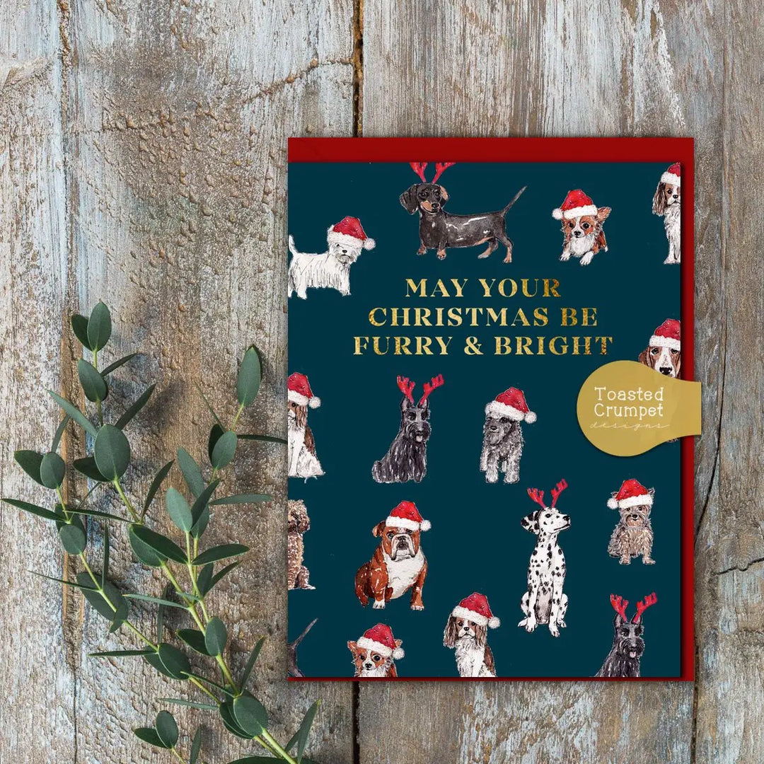 Furry & Bright Greetings Card