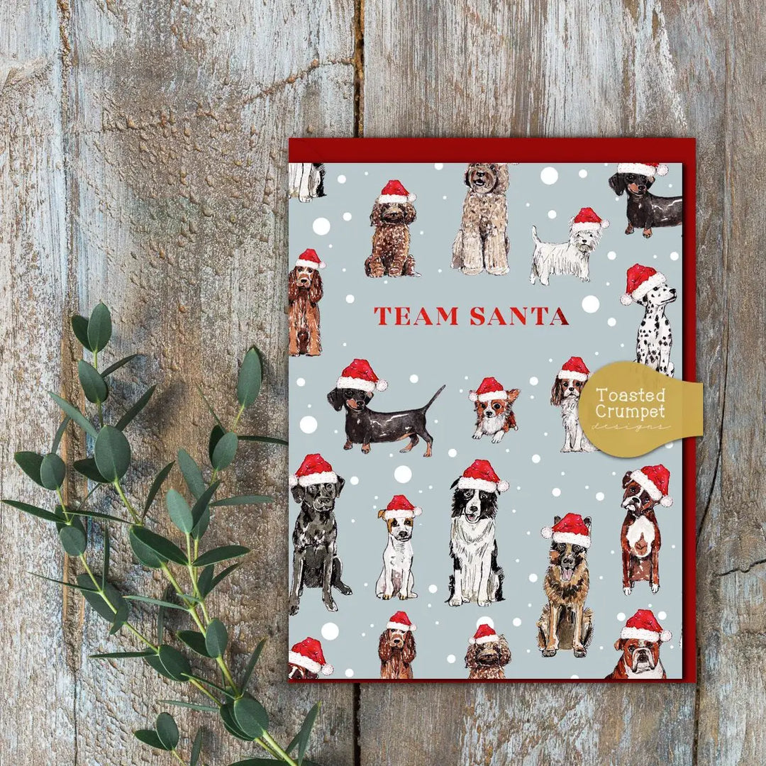 Team Santa Greetings Card