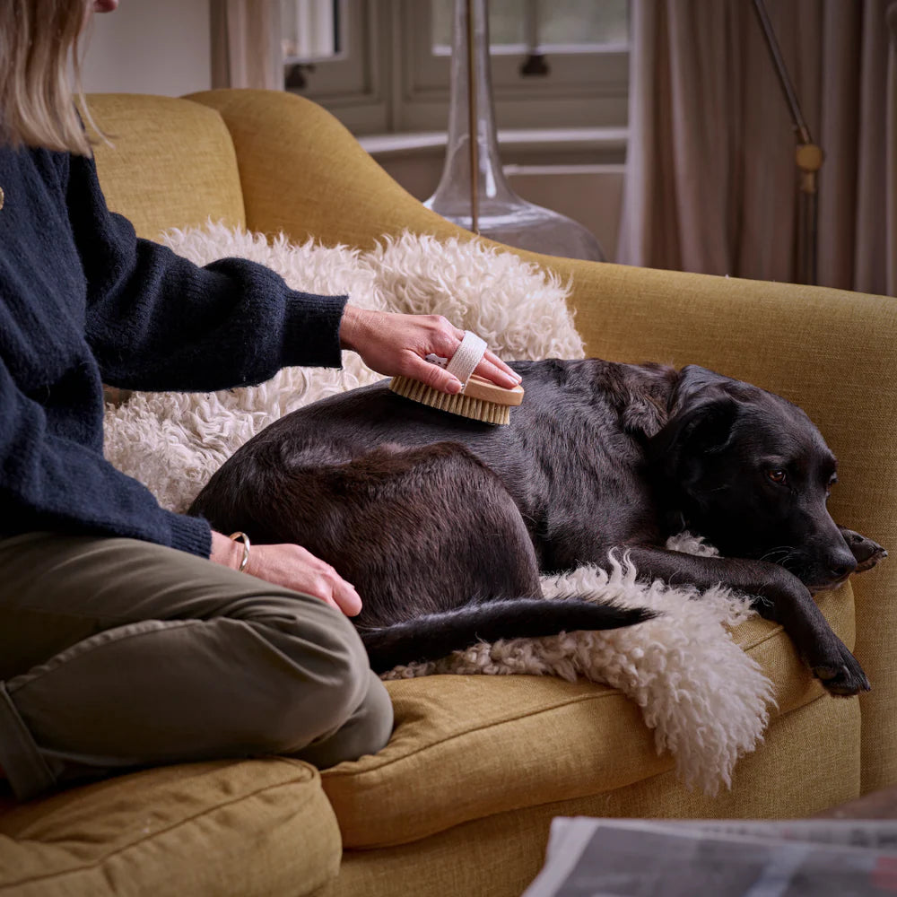 Digby Dog Brush