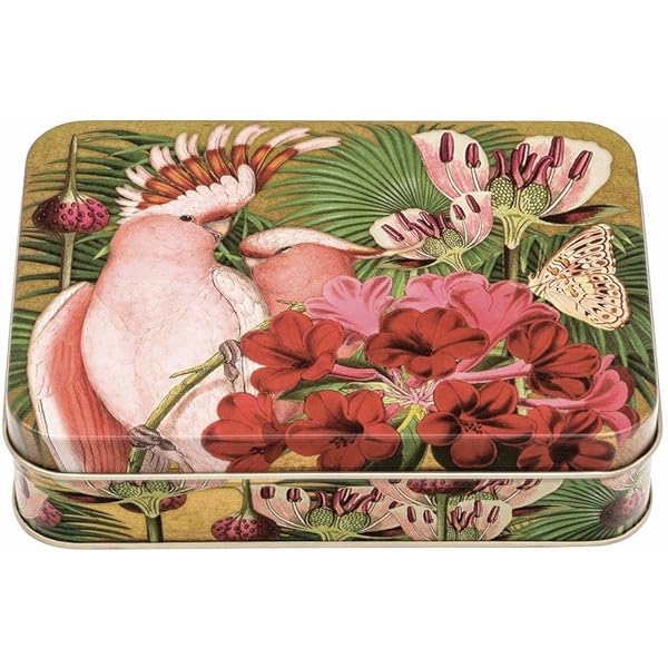 Whimsical Small Rectangular Tin