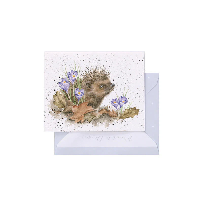 'New Beginnings' Hedgehog Enclosure Card