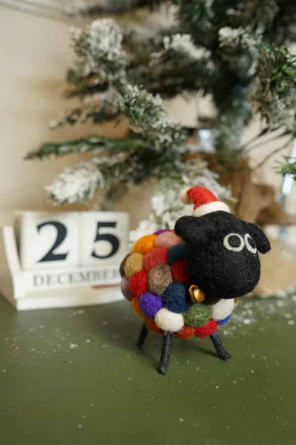 Ziggy at Christmas