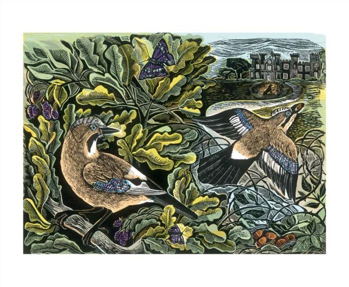 'Knepp Jay and Oak Tree' Greeting Card