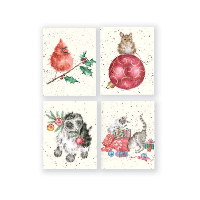 Cat Charity Gift Enclosure Card Pack