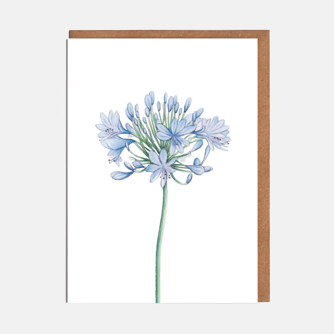 Blue Agapanthus Card
