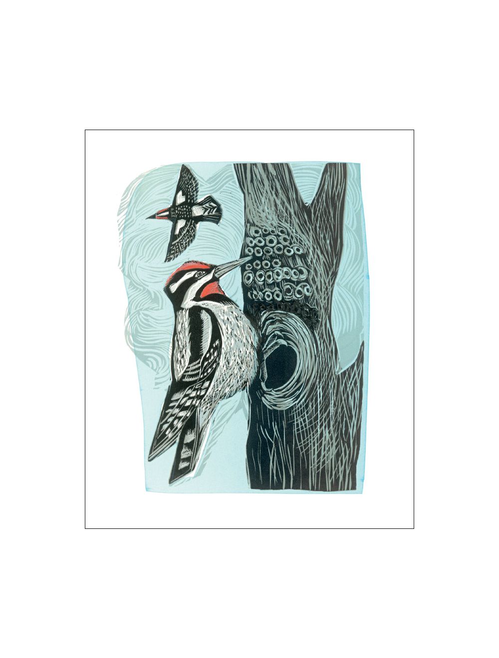 'Lesser Spotted Woodpecker' Greeting Card