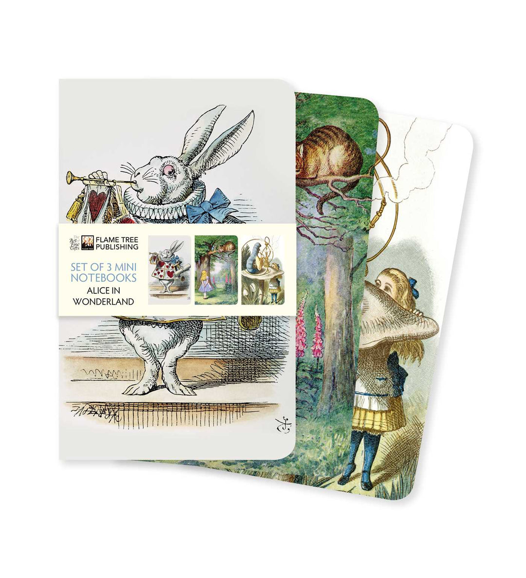 Alice's Adventures in Wonderland Set of Three 3.5" x 5.75" Mini Notebooks