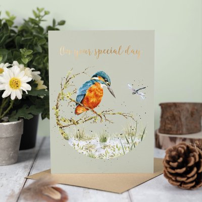 'Pond Dipping' Kingfisher Greetings Card