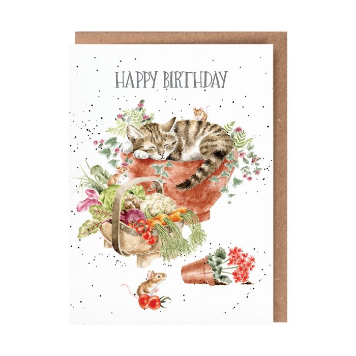 'Purrrfect Birthday" Cat and Mice Birthday Greetings Card
