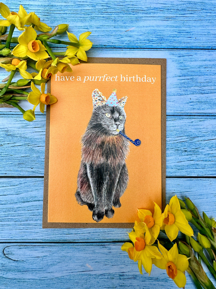 Purrfect Cat Birthday Eco Friendly Card