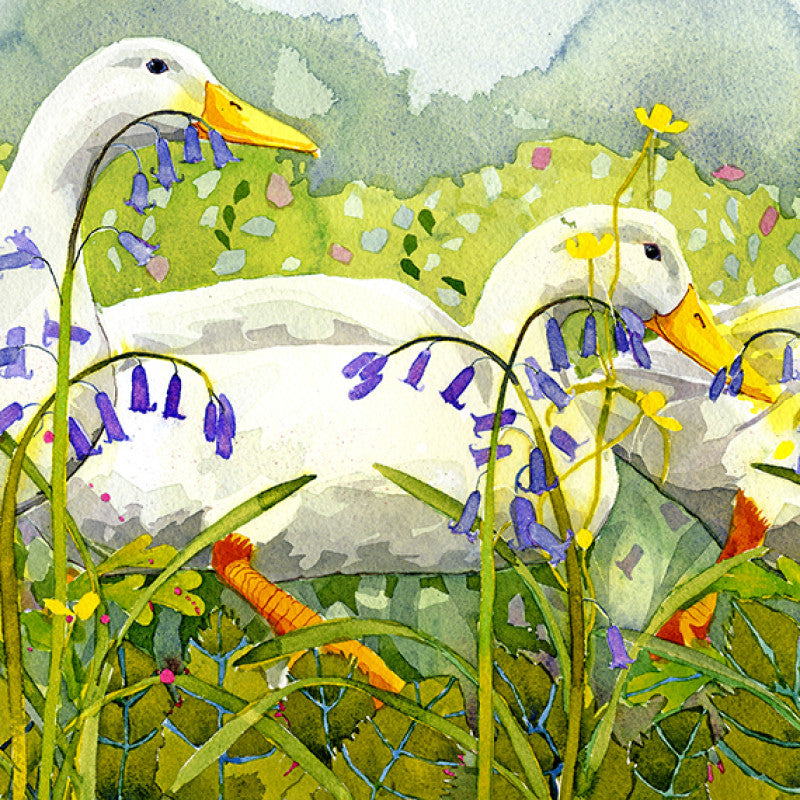 Bluebells Greetings Card