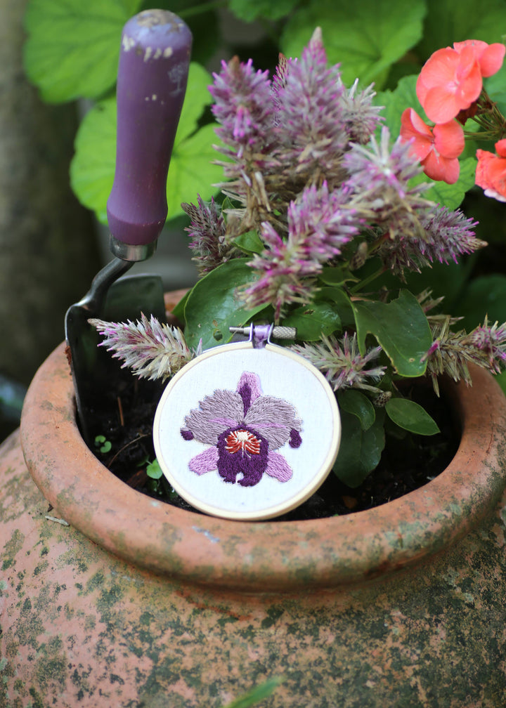 Royal Horticultural Society Orchids Embroidery Kit