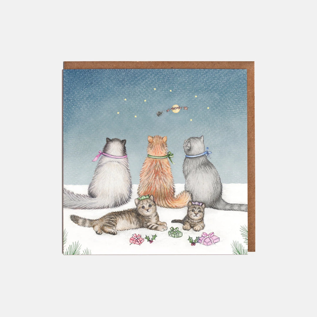 Cats and Presents Christmas Card