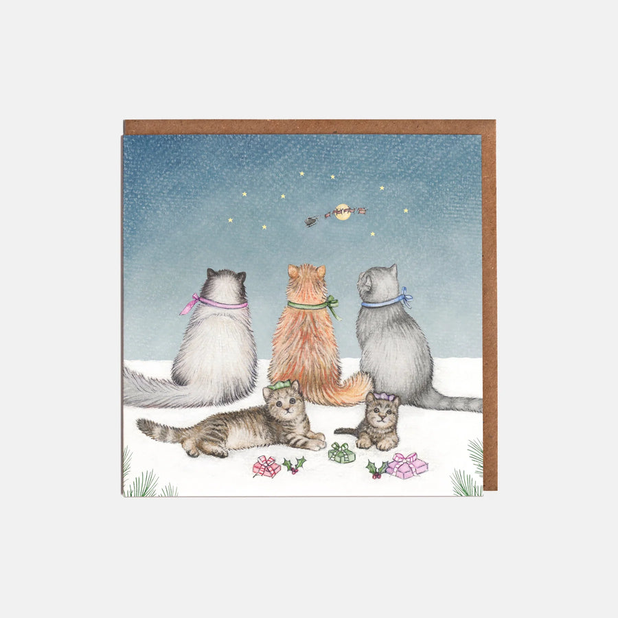 Cats and Presents Christmas Card
