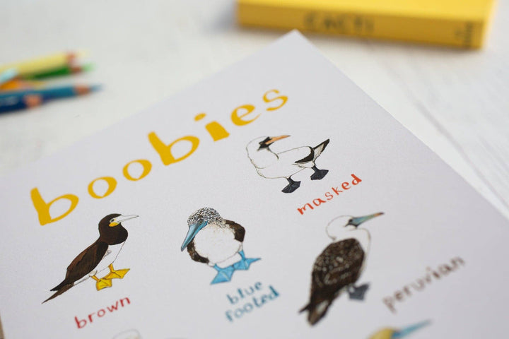 Boobies Recycled Notebook - A5